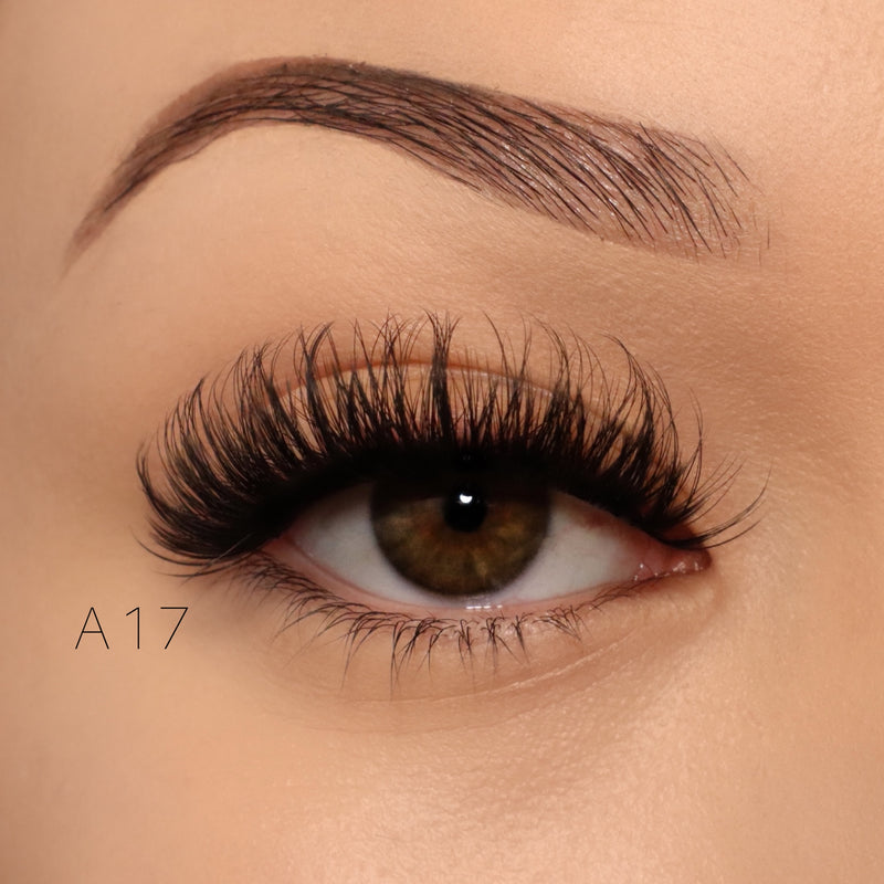 A17/22 10 pack - extension lashes