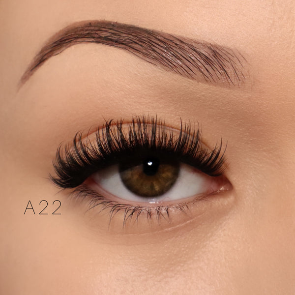 A17/22 10 pack - extension lashes
